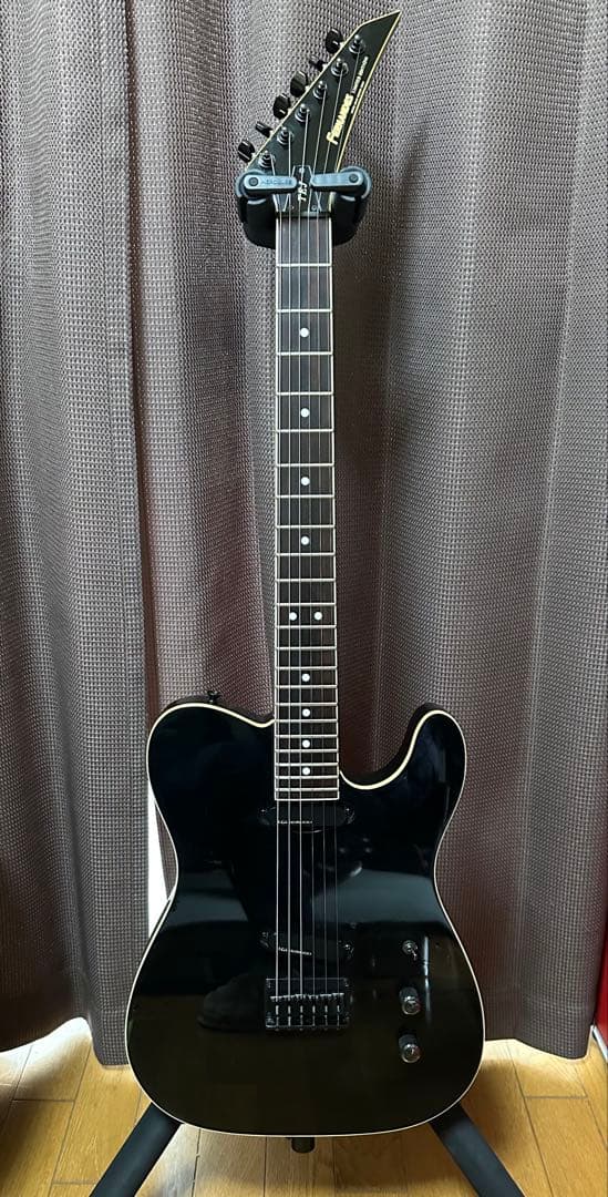 FERNANDES　TEJ-70　F.G.I. テクノロジー　アクティブPU