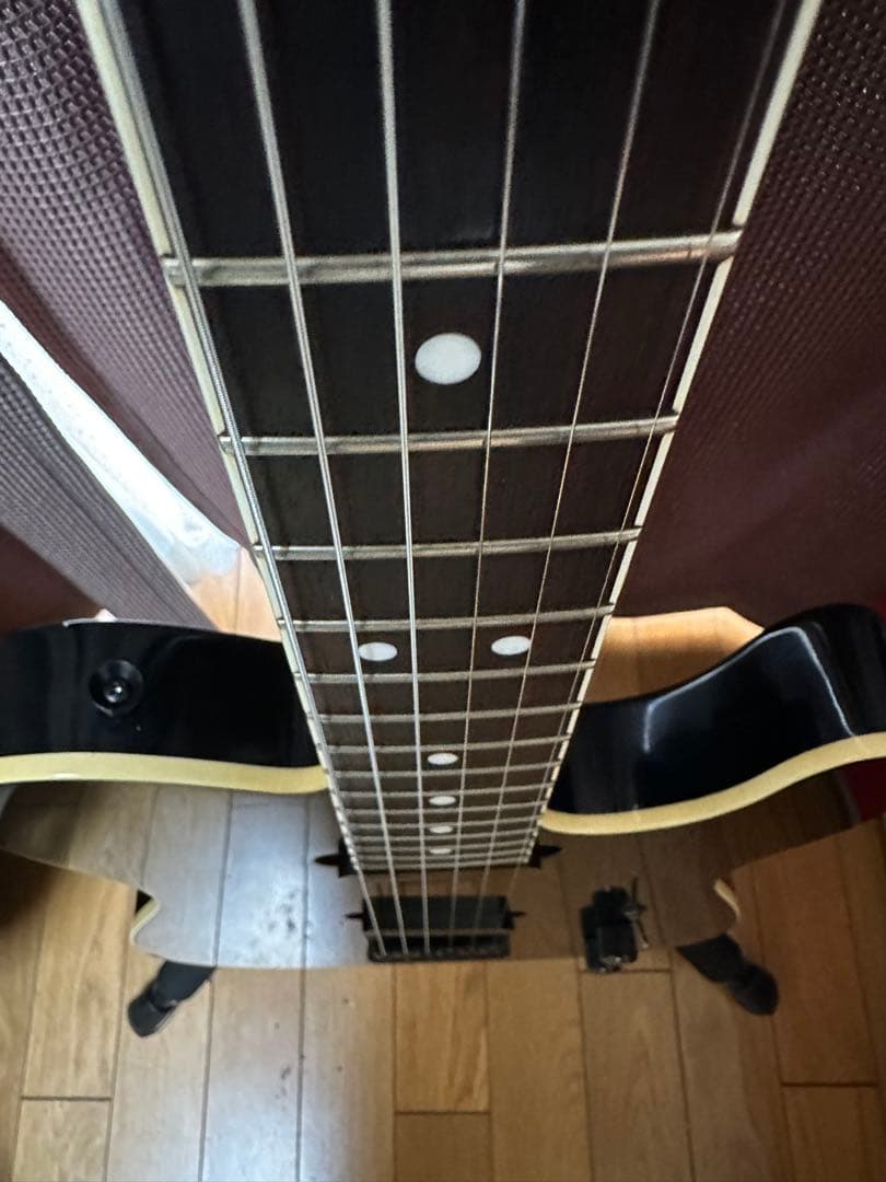 FERNANDES　TEJ-70　F.G.I. テクノロジー　アクティブPU