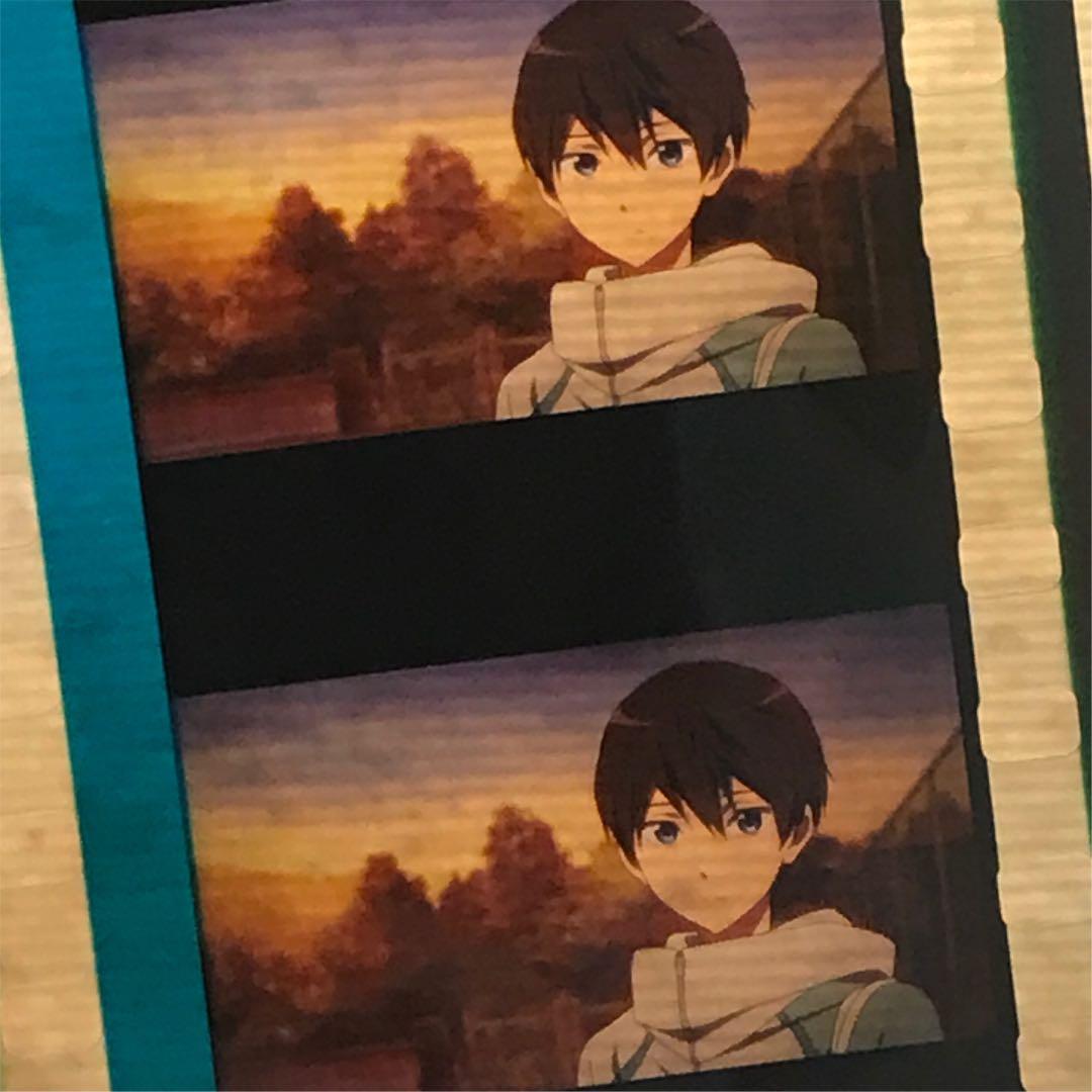 【交渉可】Free! コマフィルム 遙 真琴 凛 玲 渚 江 郁弥 旭 貴澄 尚