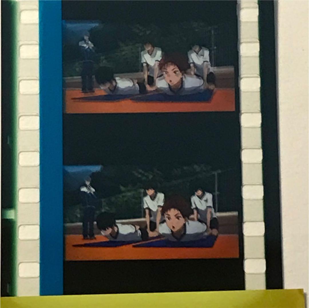 【交渉可】Free! コマフィルム 遙 真琴 凛 玲 渚 江 郁弥 旭 貴澄 尚