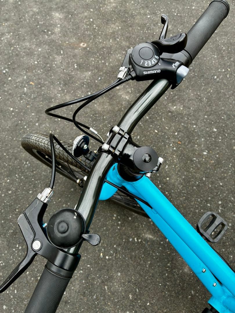 ライトウェイ 子供用自転車 20インチ 6段変速 RITEWAY スカイブルー