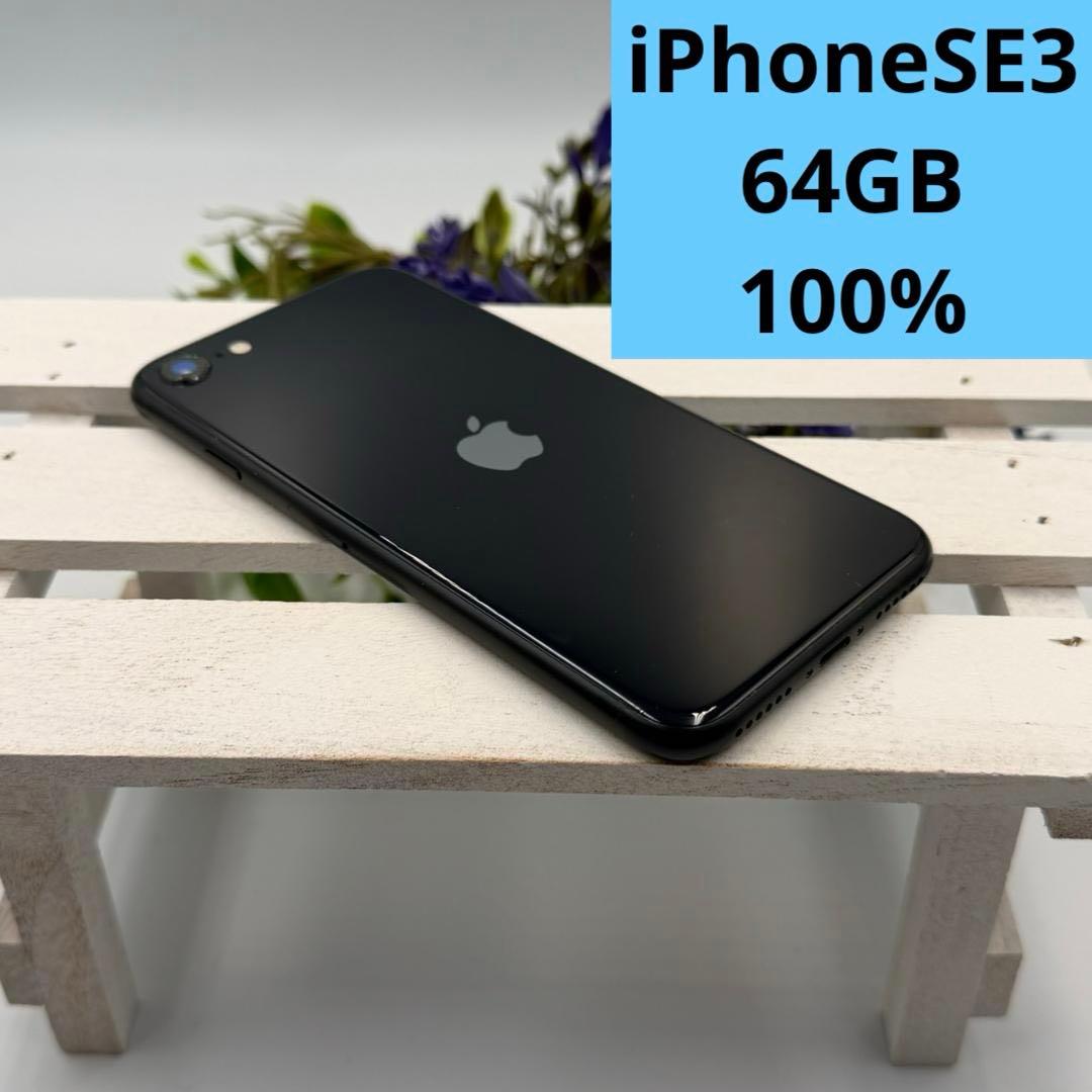 iPhone SE第3世代 64GB ミッドナイト 313