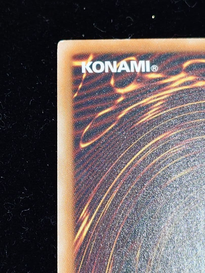 ブラック・ローズ・ドラゴン ホロ