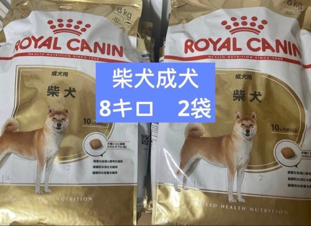  CANIN 柴犬成犬 8キロ 2袋