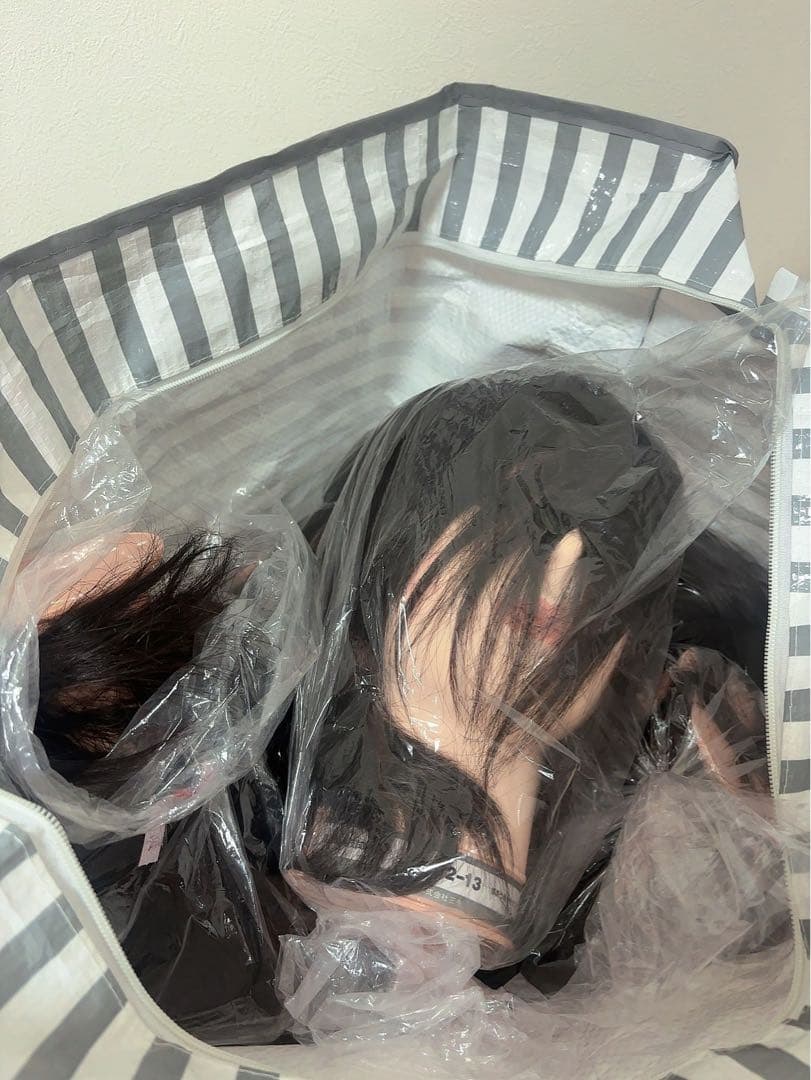 【新品未使用】美容師国家試験 本番用カットウィッグ 24-12-13 三矢 5頭