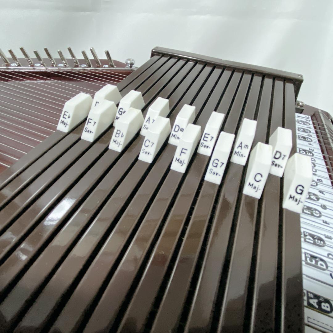 TOKAI GAKKI Chroma harp クロマハープ ハードケース付