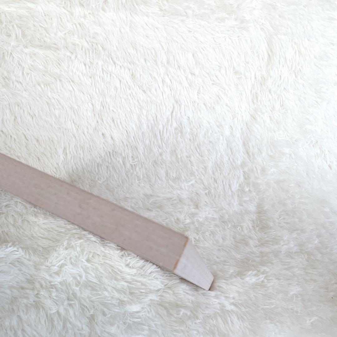 絵画　葉 祥明　「ジェイクとうみねこ」 動物　額装　ヒーリングアート