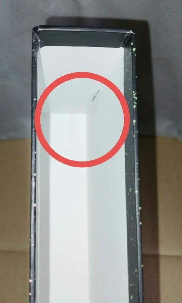 心中するまで、待っててね。　収納BOX　小冊子　特典ペーパー　市梨きみ