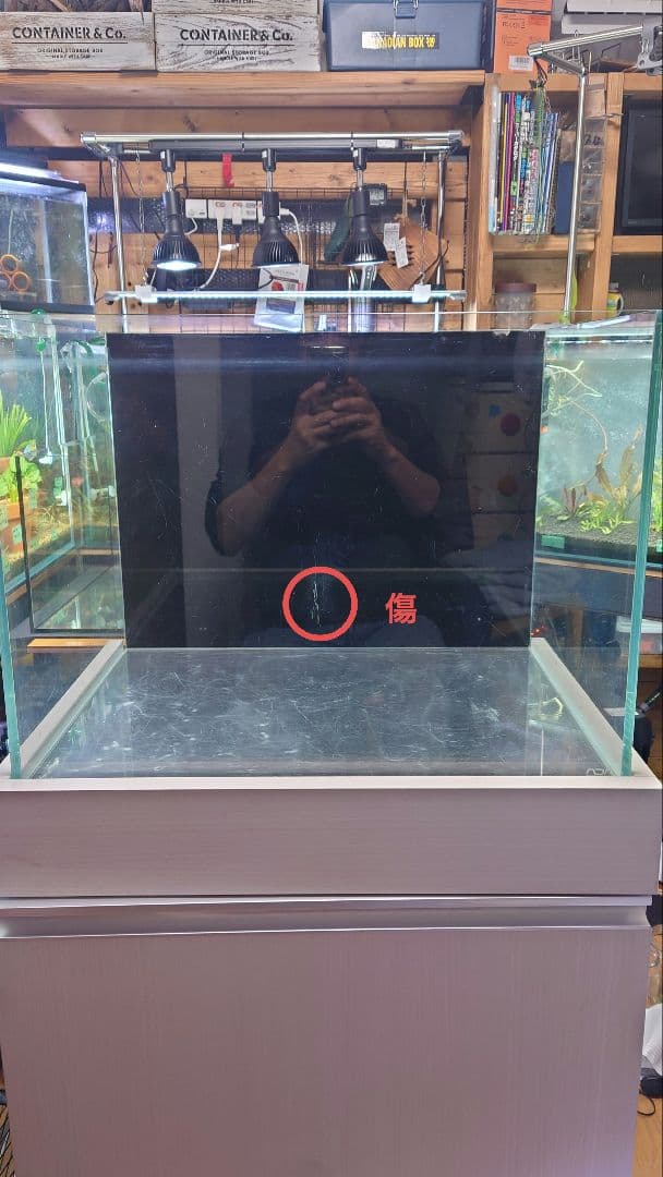 ADA 水槽 60ワイド＆水槽台　引き取り限定(川崎区)