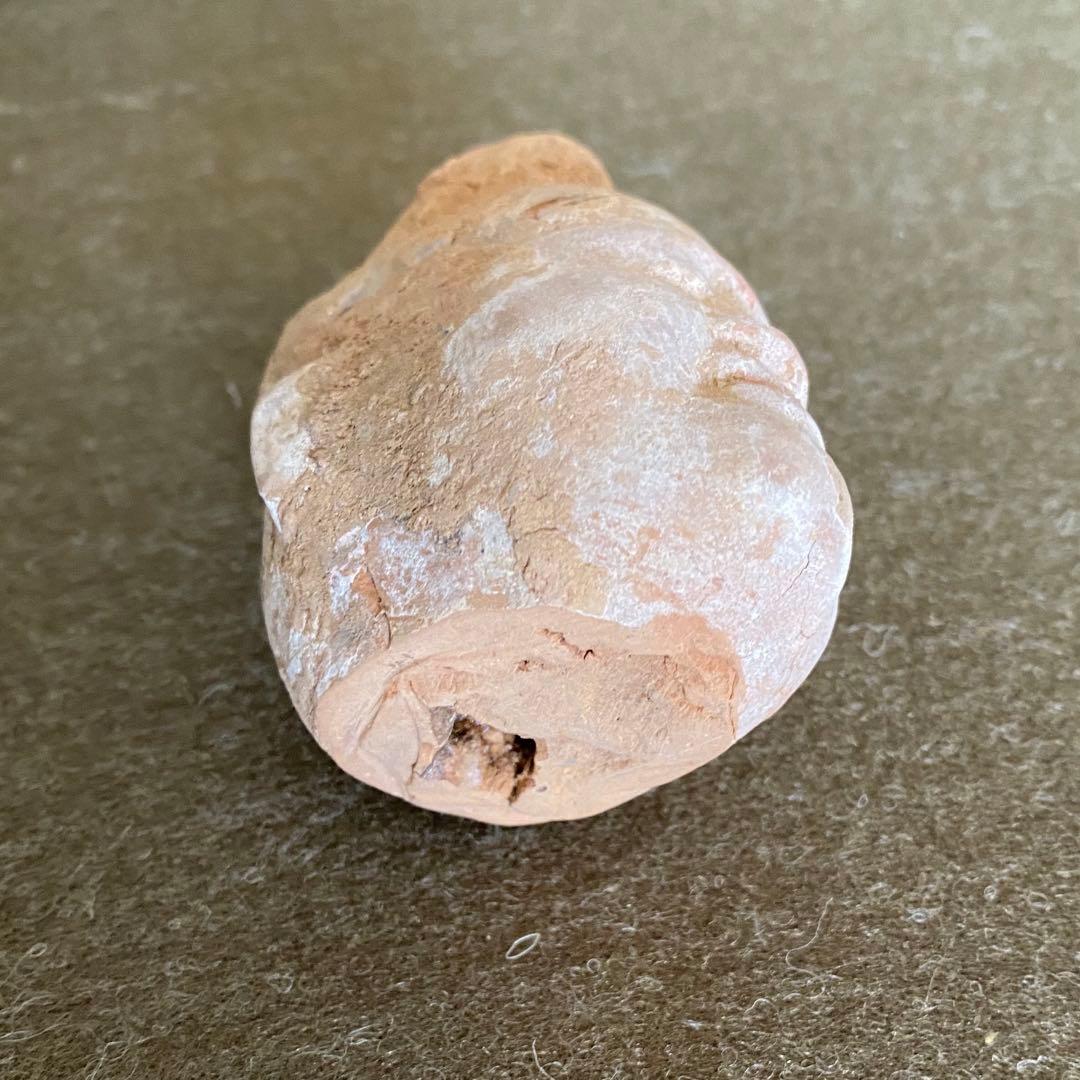 唐時代胡人俑　(頭部だけ)