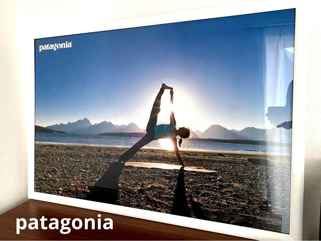 patagonia パタゴニア ポスター 額装品 特大 96cm×66cm