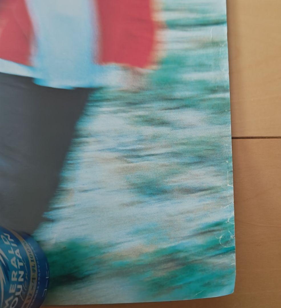 ミスチル、Mr.Children、versus、ポスター