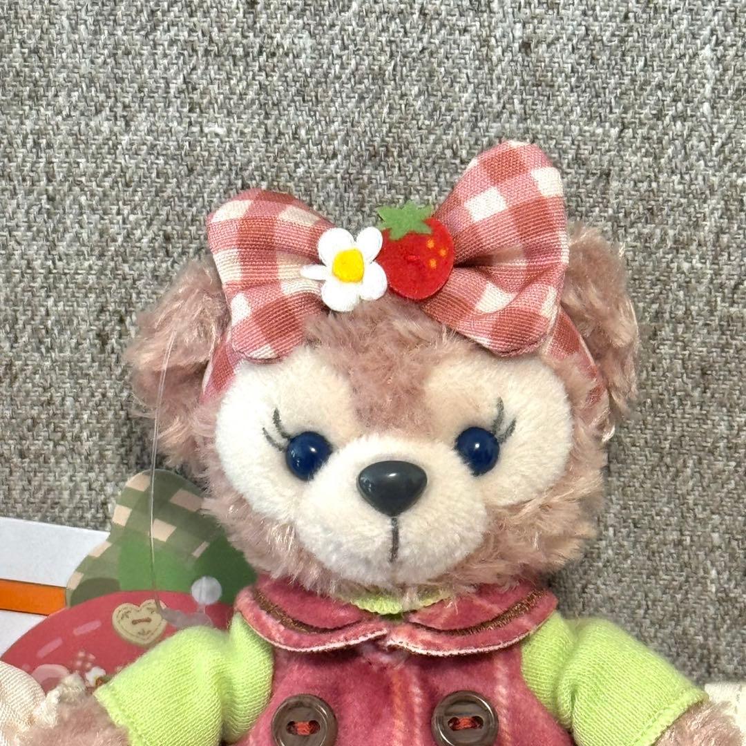 東京ディズニーシー　ハートフェルトストロベリーギフト　ぬいぐるみバッジセット