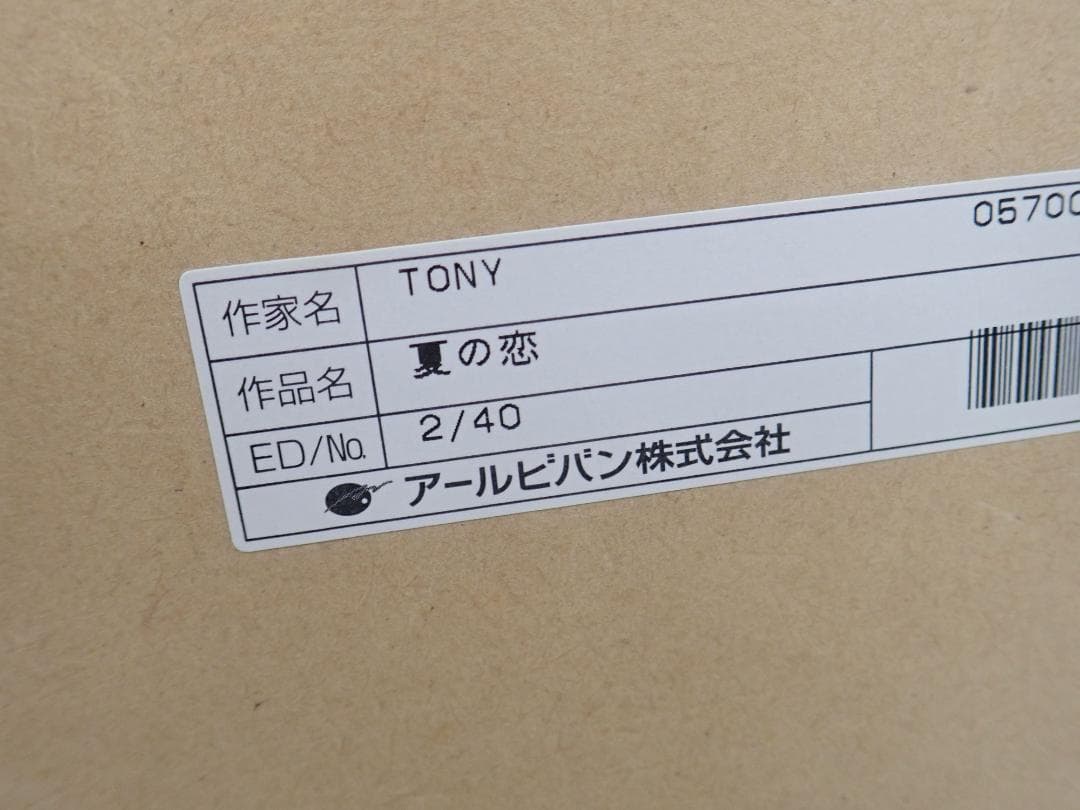 ⑲新品・保証書付 Tony　トニー「夏の恋」ミクスドメディア アールビバン