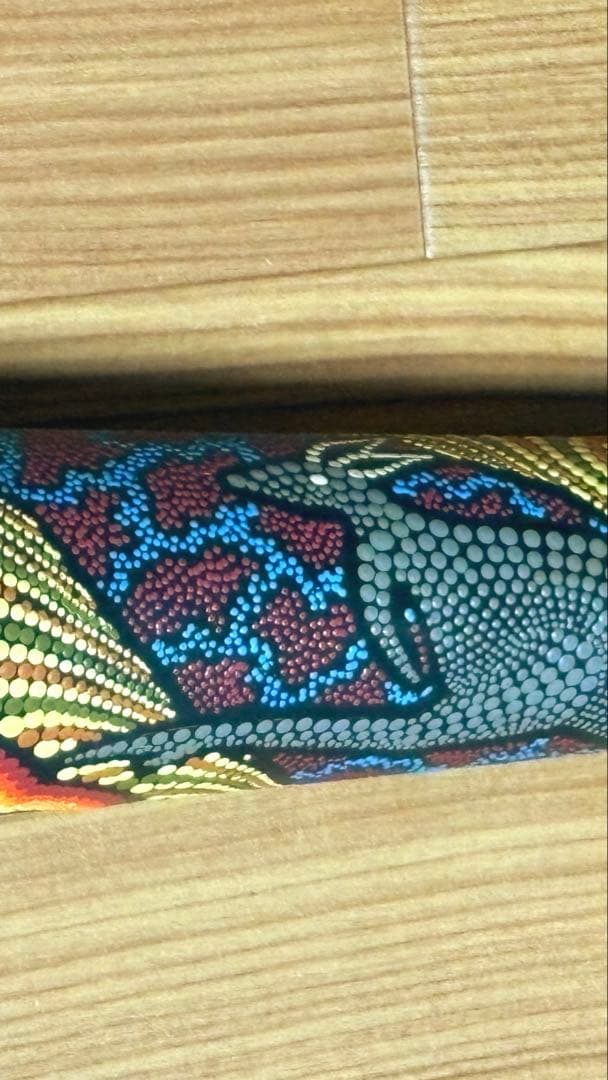 アボリジニ民族楽器ディジュリドゥ 専用ケース付き