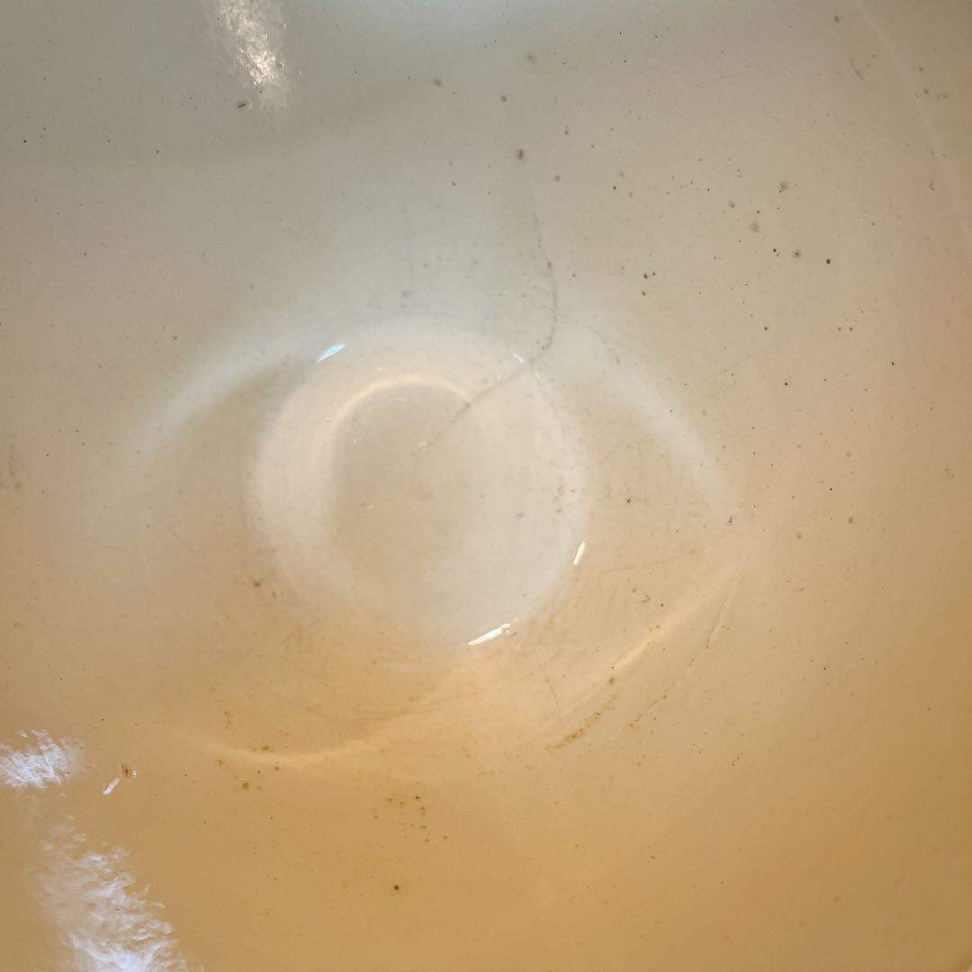 DIGOINサルグミンヌ　シックな花模様のカフェオレボウル