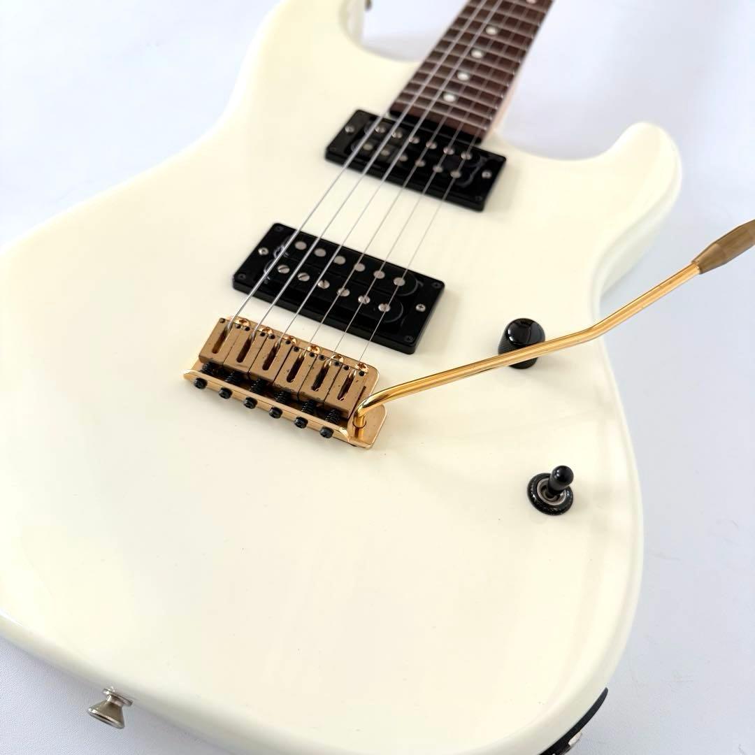 【希少・美品】Fernandes Limited Edition フェルナンデス