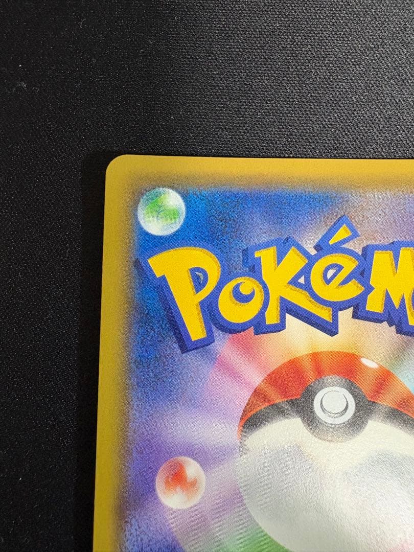 エリカのおもてなしsr 107/095