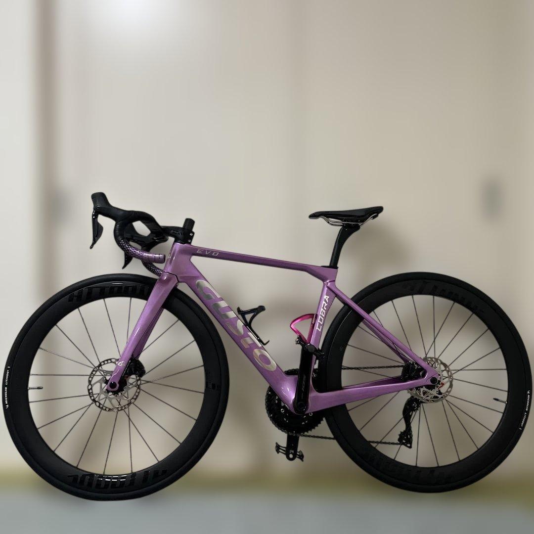 自転車本体 COBRA EVO DB SPORT TE