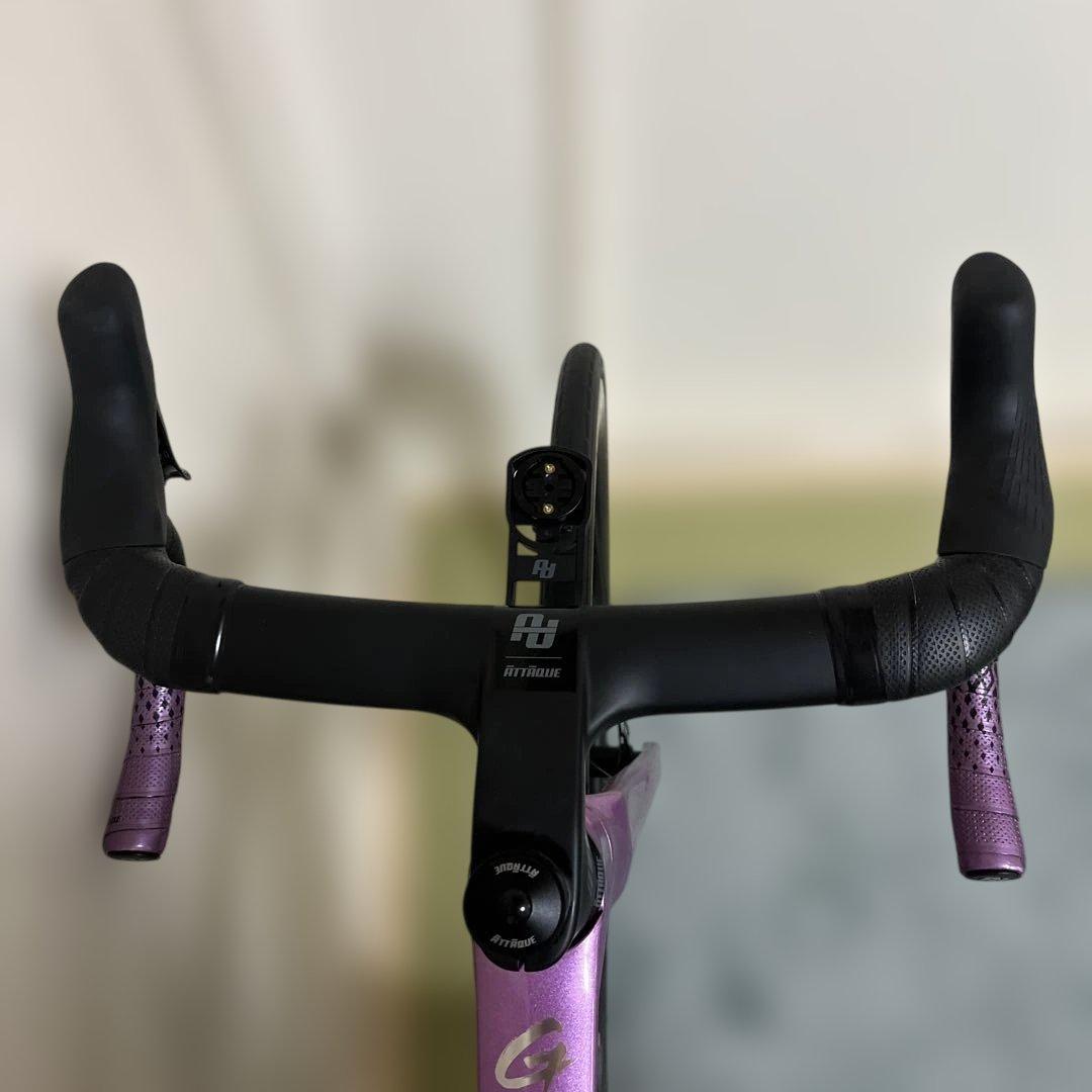 自転車本体 COBRA EVO DB SPORT TE