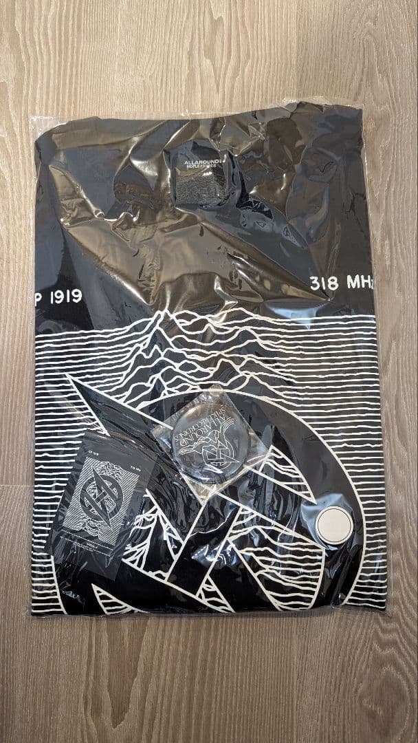 ALLAROUND GLAY HISASHI コラボ Tシャツ WHITE