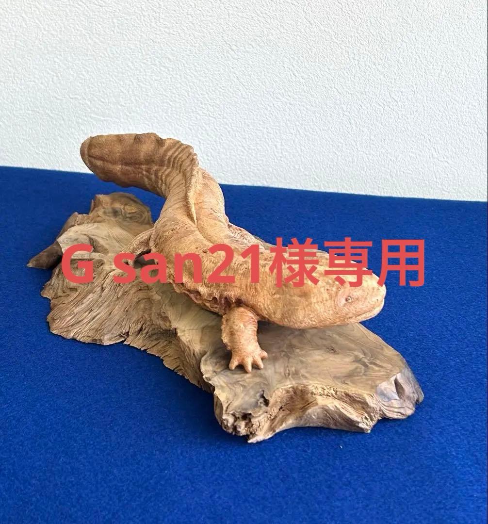 田中鱗水 メープル瘤材彫オオサンショウウオ 26cm 125.52g 神代杉台付