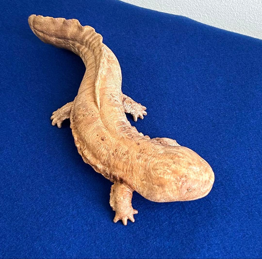 田中鱗水 メープル瘤材彫オオサンショウウオ 26cm 125.52g 神代杉台付