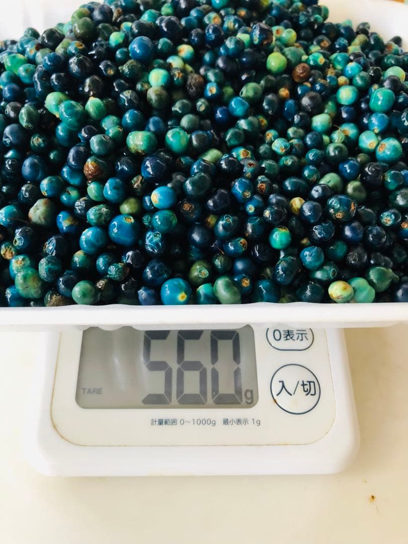 クサギの実　草木染め 合計1,160g