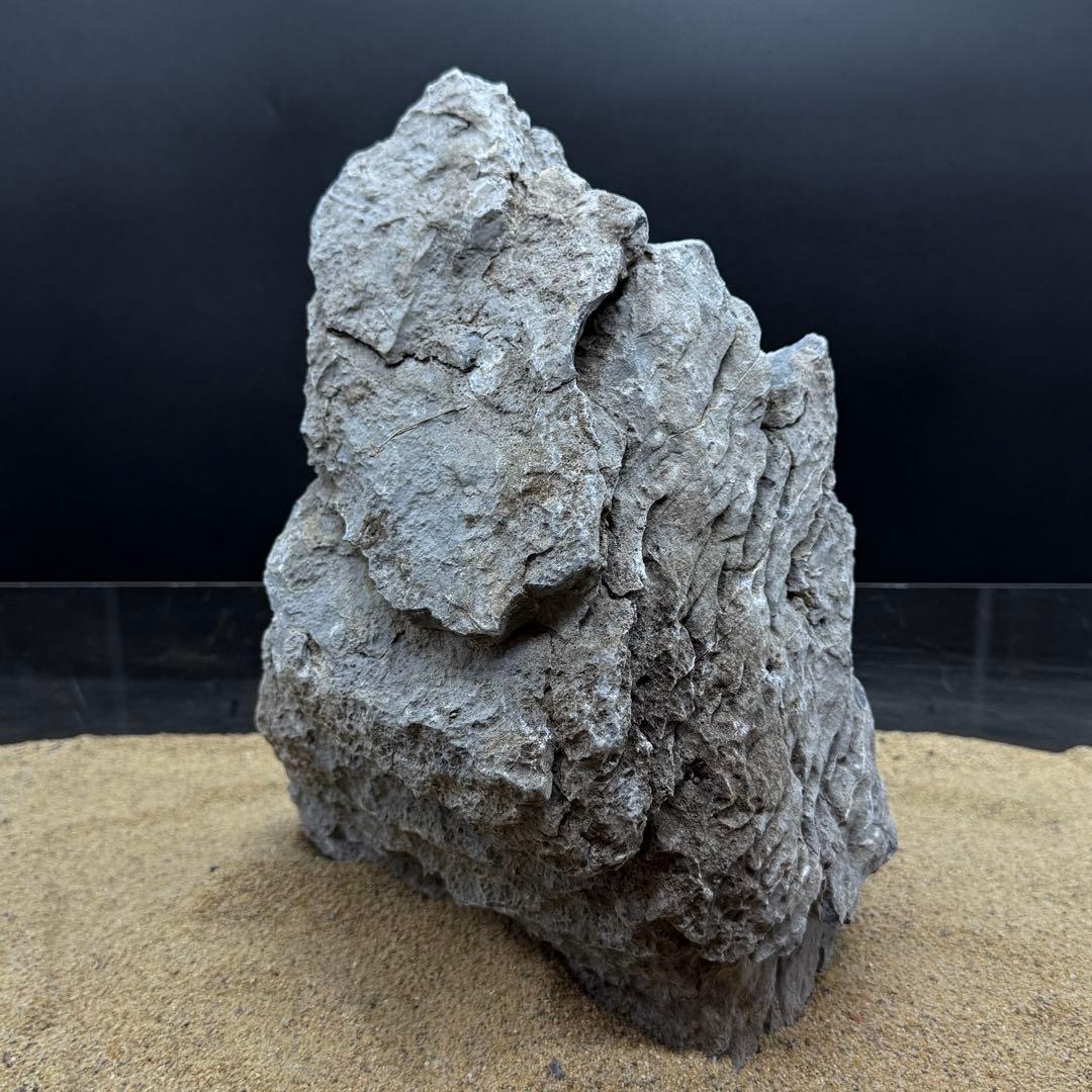 MSS-6815 セレクト品青龍石33cm親石　龍王石　竜王石