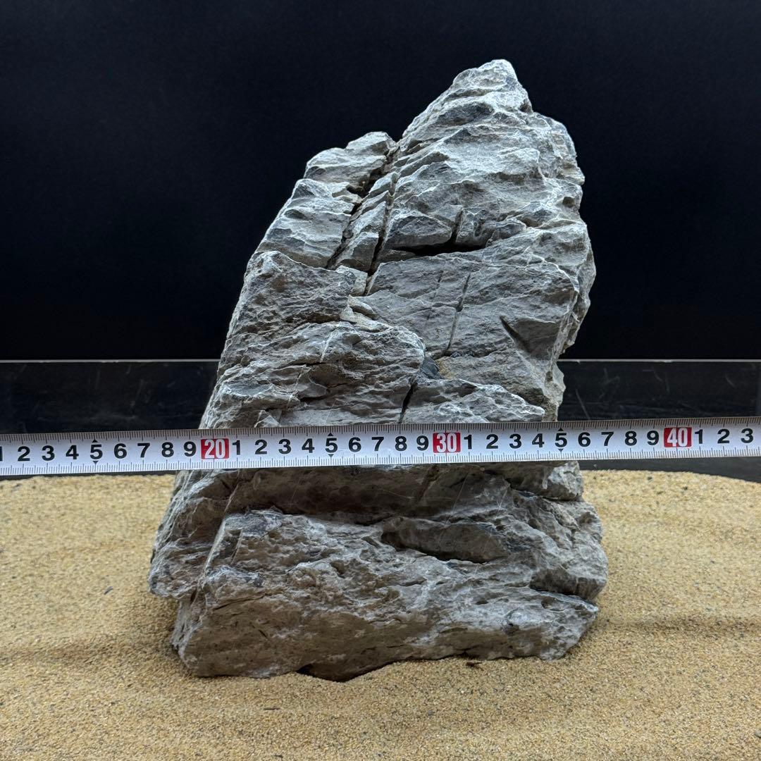 MSS-6815 セレクト品青龍石33cm親石　龍王石　竜王石