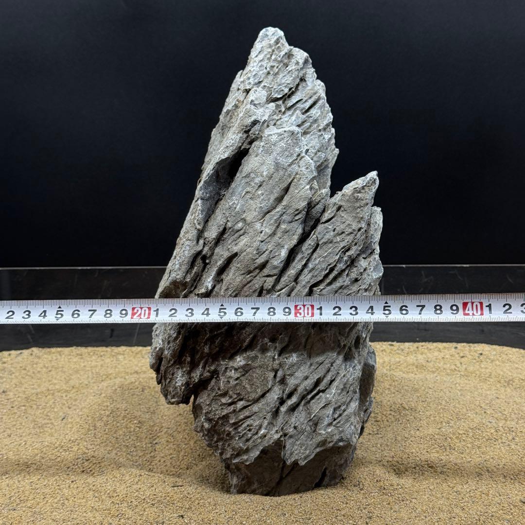 MSS-6815 セレクト品青龍石33cm親石　龍王石　竜王石