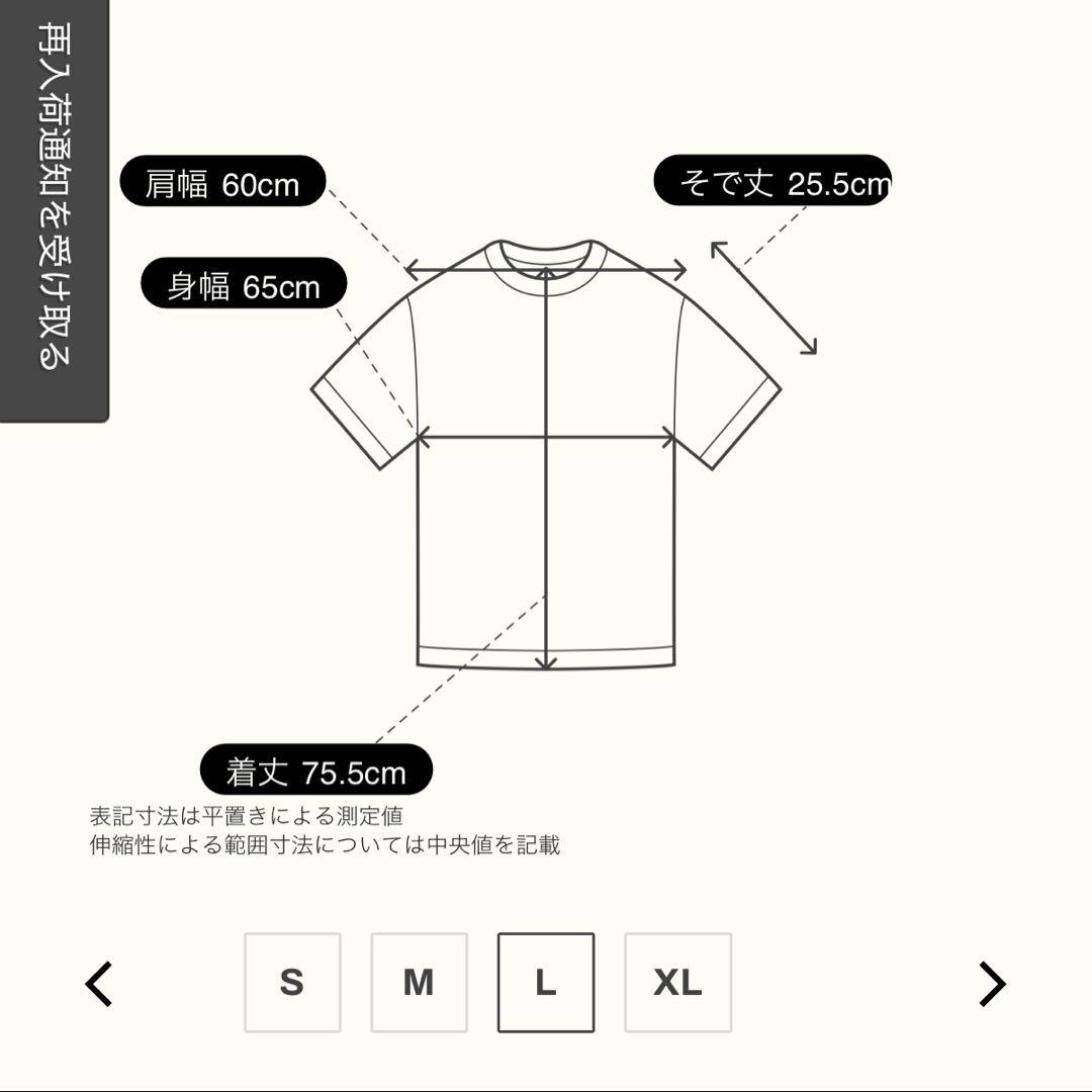 LYFT × Power House Gym ビッグTシャツ アイボリー　L