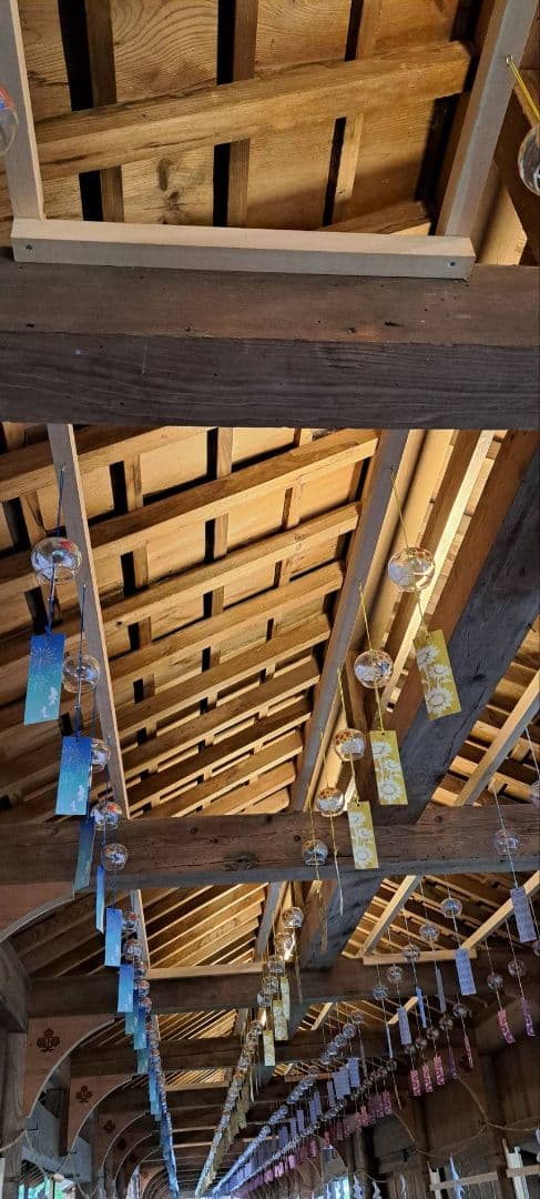 諏訪大社2025年8月8日　下社秋宮.数量限定夜の夏詣特別御朱印4種コンプセット