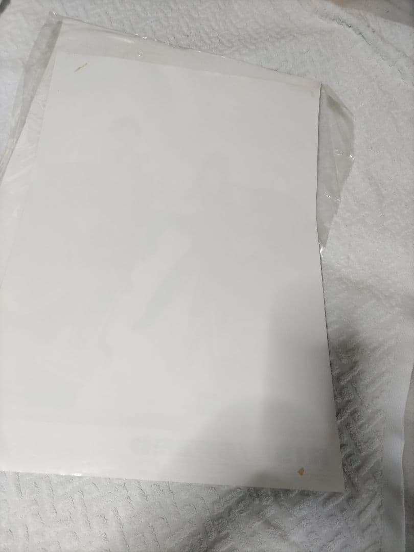 SPEED　販促ポスター10枚セット