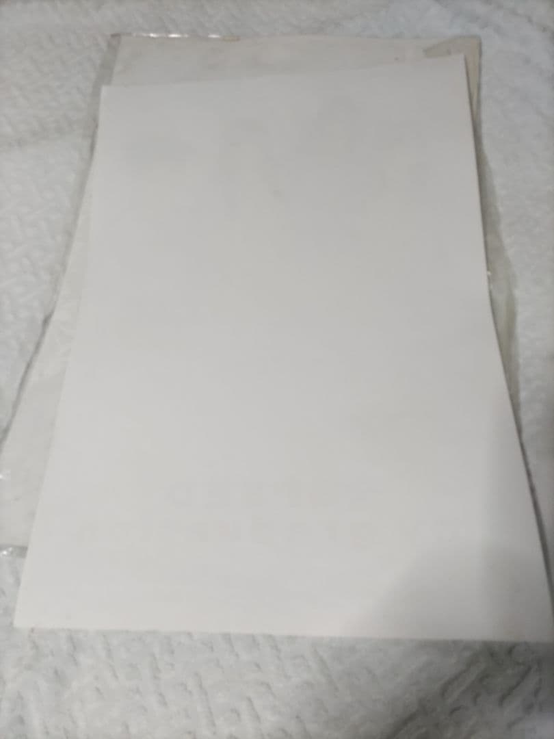 SPEED　販促ポスター10枚セット