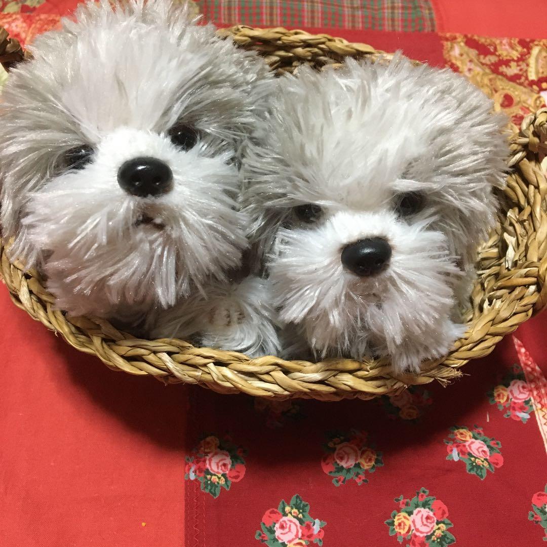 ぬいぐるみ　犬　モフモフ　子犬　クタクタ犬　シーズー　犬　わんちゃんペア