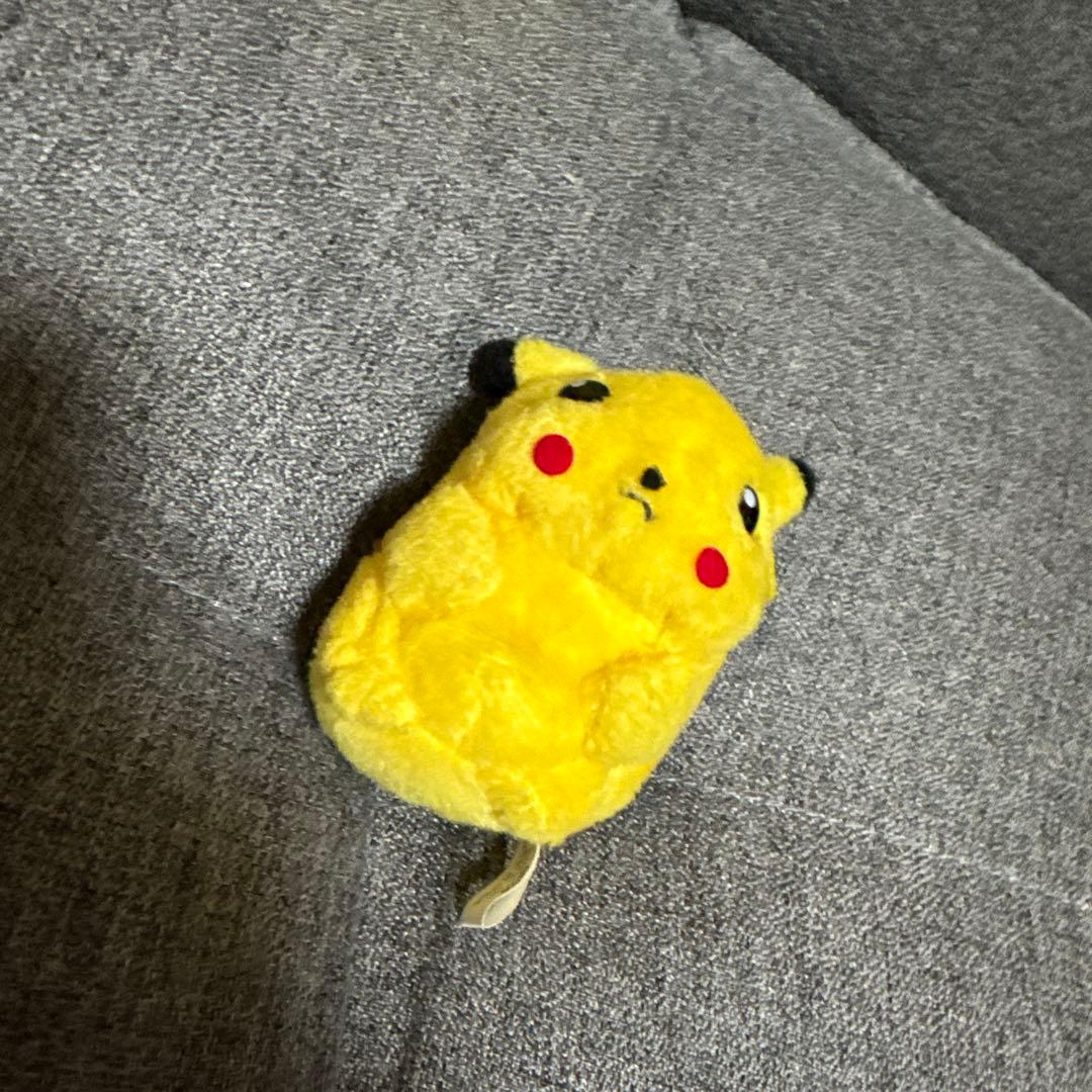 希少　TOMY ポケモン♡ピカチュウ　ヒトカゲ　ピッピぬいぐるみ合計5匹　レトロ