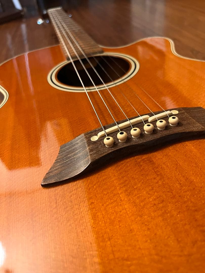 Takamine エレアコ PT-106