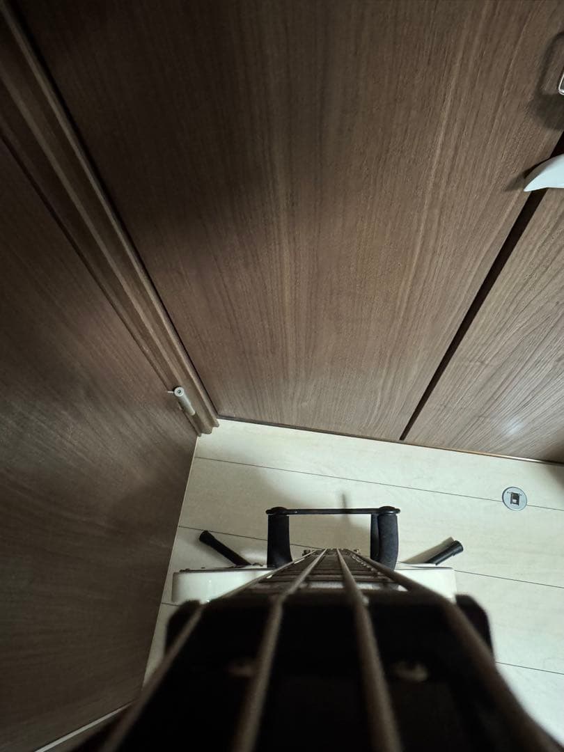 ベース Epiphone Thunderbird