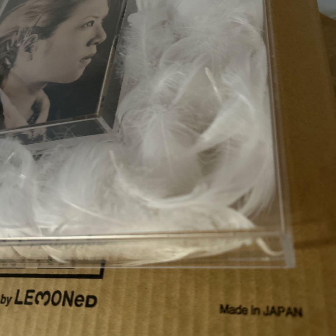 hide with Spread Beaver hide memorial羽毛