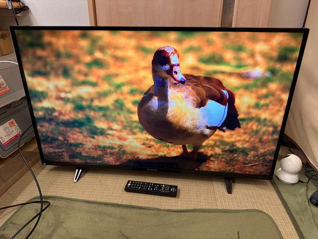 funai フナイ　43型 テレビ FL-43U3030　20年製　4K対応！
