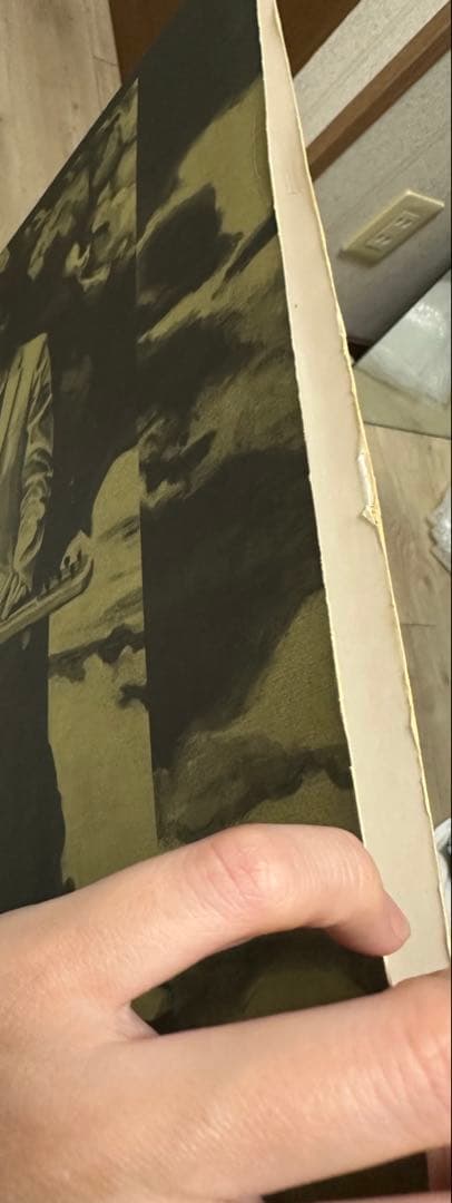 坂本慎太郎　ナマで踊ろう　レコード　海外版