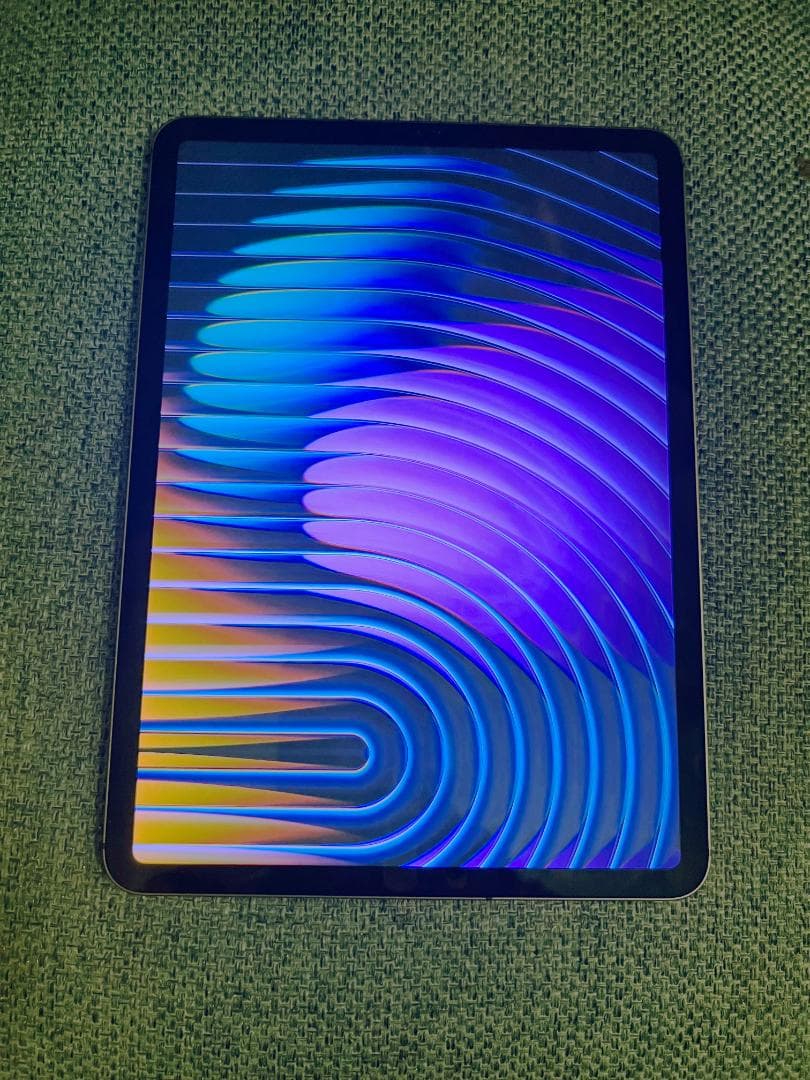 【nmthu88】iPadPro11第2世代 256GB