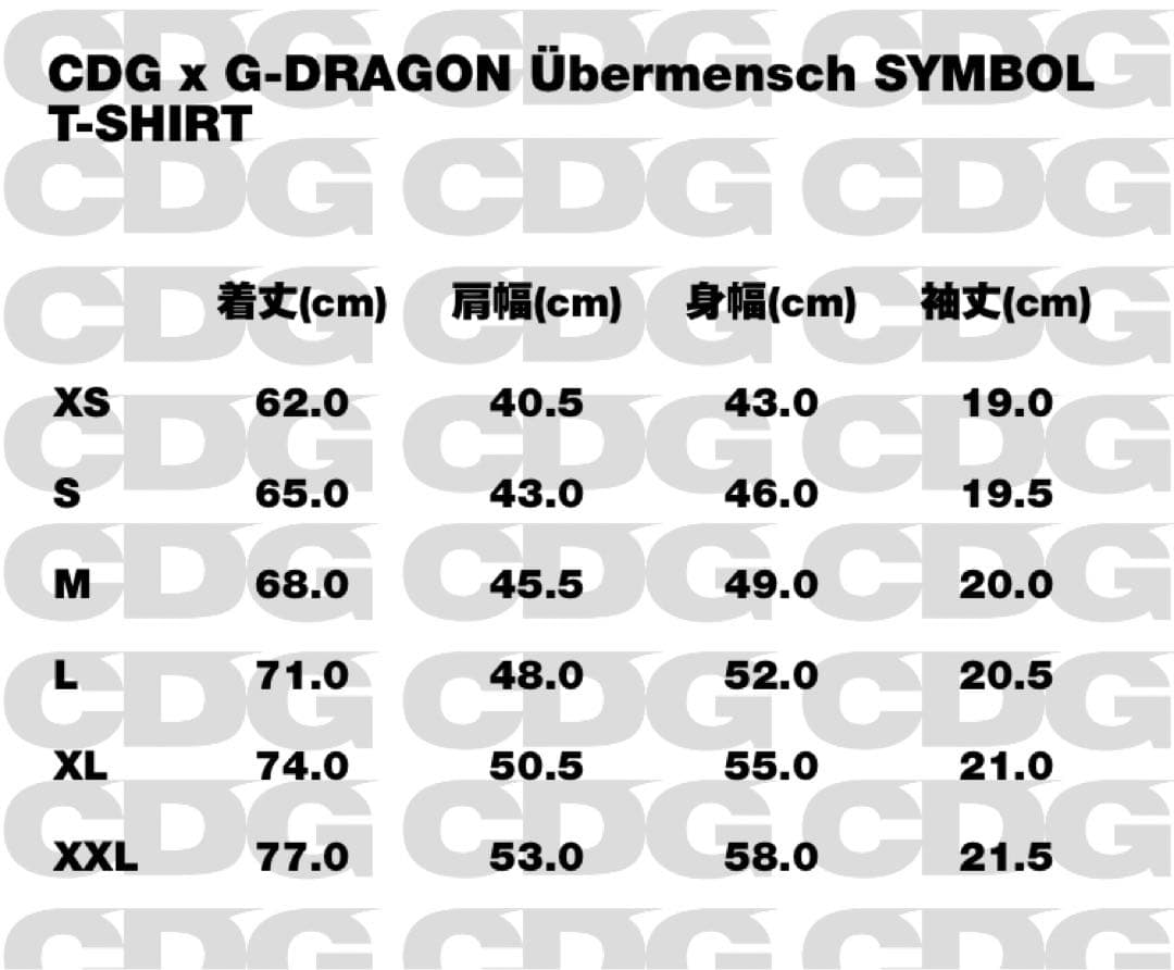 CDG G-DRAGON T-SHIRT コムデギャルソン　Gドラゴン