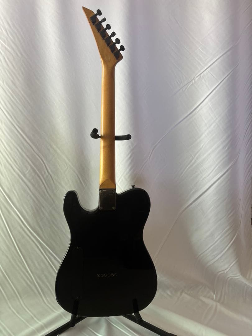 FERNANDES TEJ-STD エレキギター