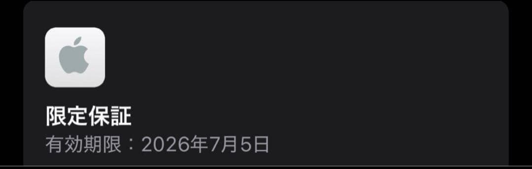 Apple Pod mini ミッドナイト