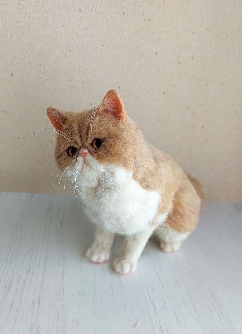 羊毛フェルト　エキゾチックショートヘア