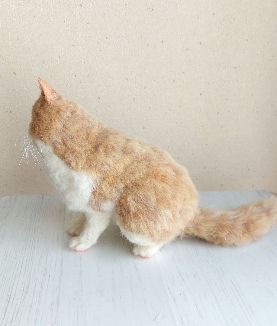 羊毛フェルト　エキゾチックショートヘア