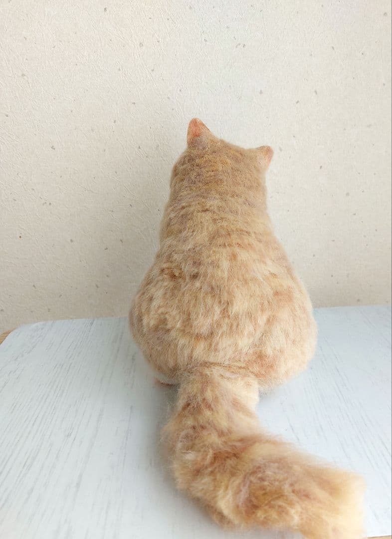 羊毛フェルト　エキゾチックショートヘア