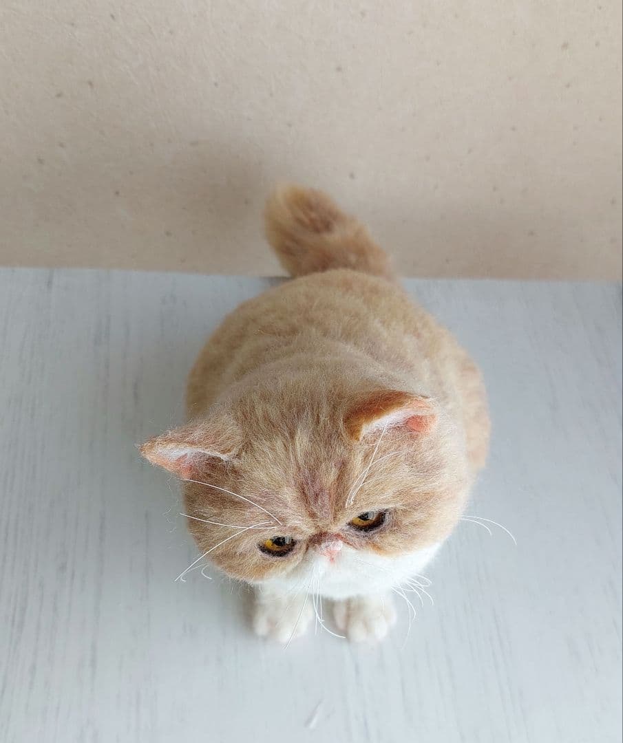 羊毛フェルト　エキゾチックショートヘア